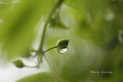 a0306521_22483465.png