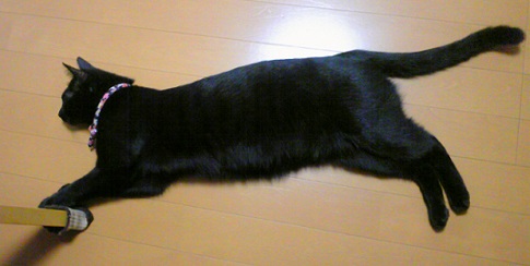 c0280322_17513225.jpg
