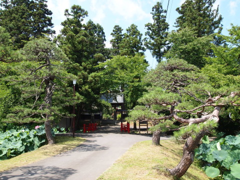 b0147224_21341943.jpg