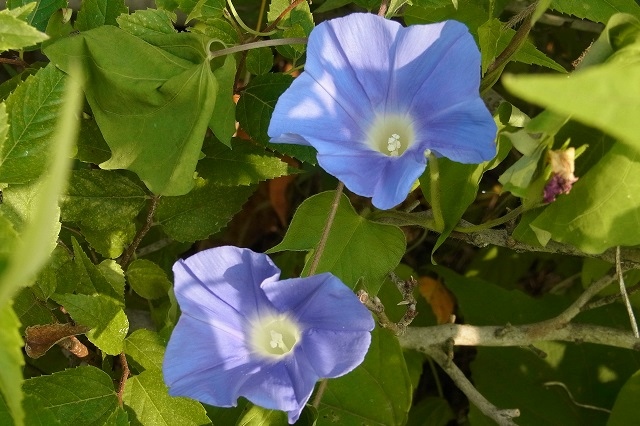 f0214527_1004971.jpg