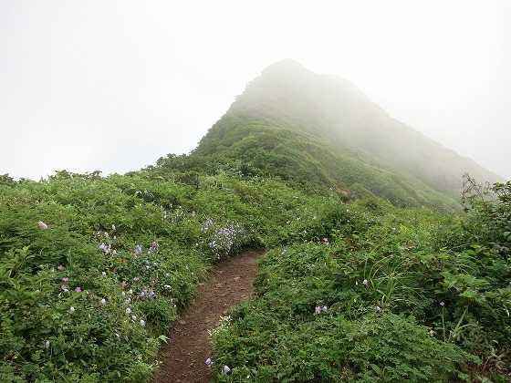 ２０１３．８．１２涼風花　不忘山_f0003138_1614225.jpg