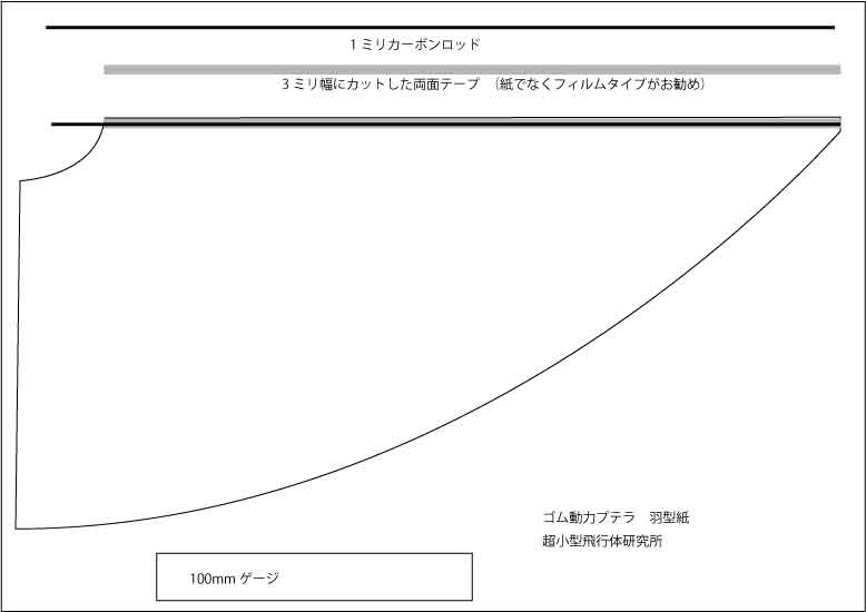 ゴム動力で飛ぶプテラノドン_d0067943_1049425.jpg