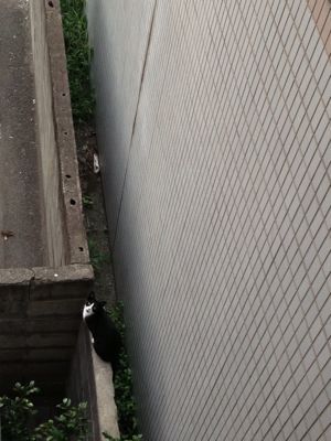 d0217043_10183387.jpg