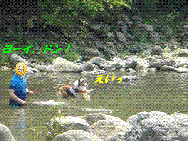 川でカエルになったボク_e0195743_0561665.gif