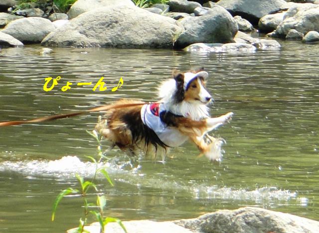 川でカエルになったボク_e0195743_05623100.jpg