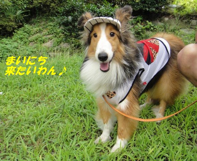 川でカエルになったボク_e0195743_056309.jpg