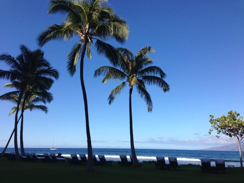 Mariott\'s　Maui Ocean Club滞在中です_e0271143_1595261.jpg