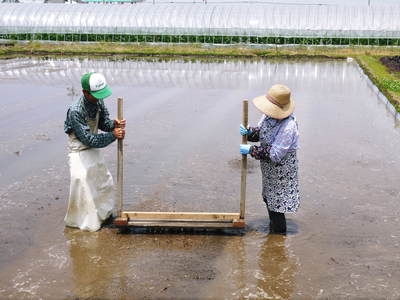 七城米　長尾農園　強い根が張り、再び給水開始!!_a0254656_17514745.jpg