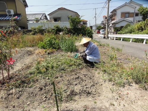 c0108460_1634790.jpg