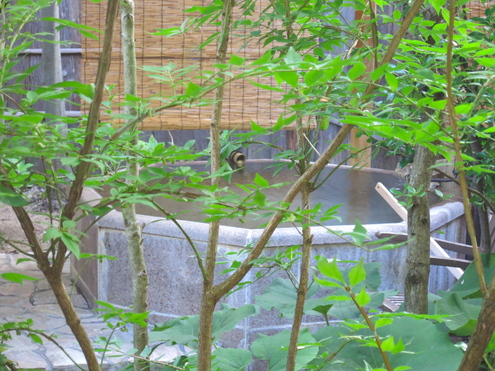 お盆休み恒例　夏の温泉宿(その２）_c0260460_15481468.jpg