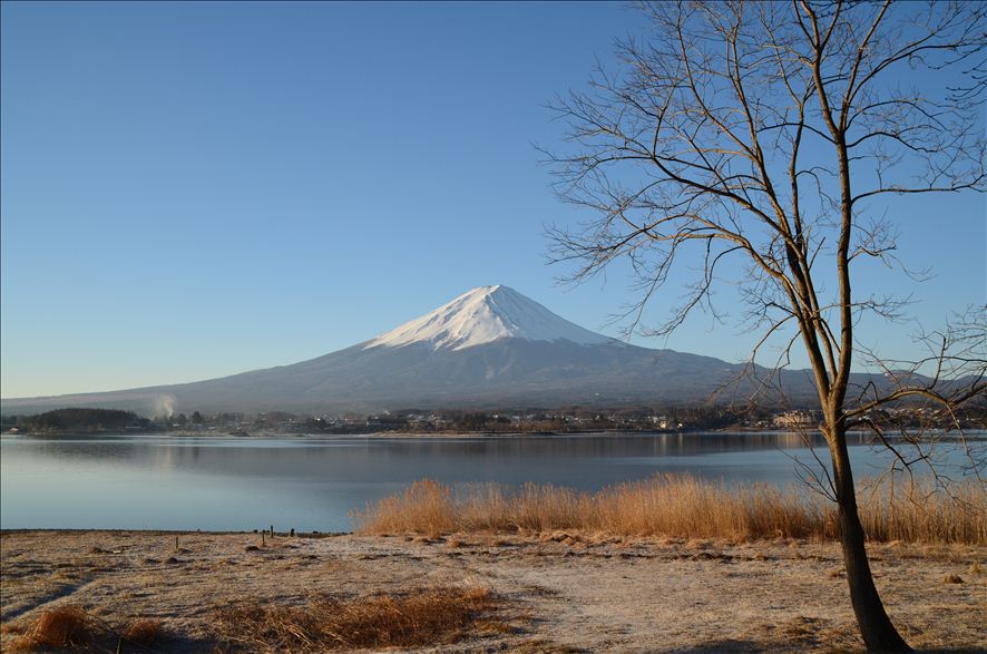 山中湖、河口湖_a0307264_11382781.jpg