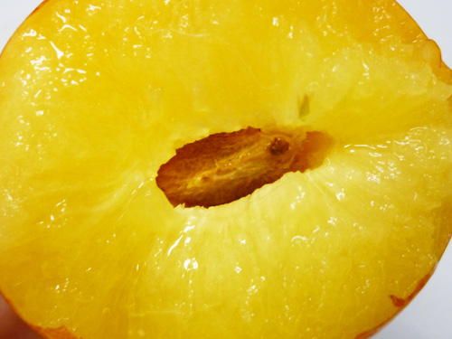 月光プラム_c0152767_201381.jpg