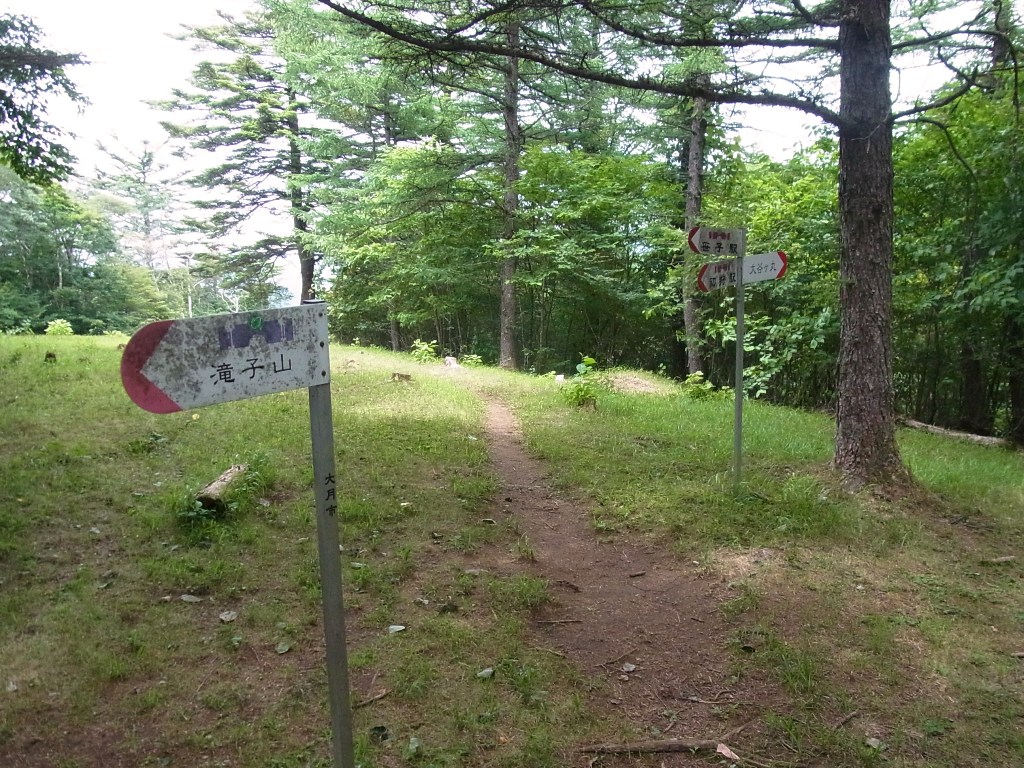 2013/07/14　滝子山　大谷ヶ丸　コンドウ丸　オッ立　大鹿山　中編_d0233770_21322251.jpg