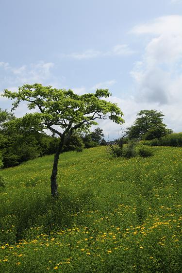 茶臼湖畔にて_e0304170_1846167.jpg