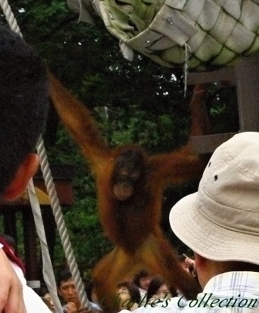 f0215684_9385522.jpg