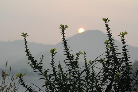 e0061785_21112816.jpg