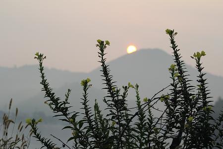 隠岐まで泳げ　三日目AM　　8月18日_e0061785_21112816.jpg