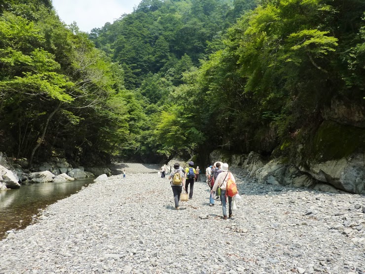 川上村ツアー_e0263590_2395689.jpg