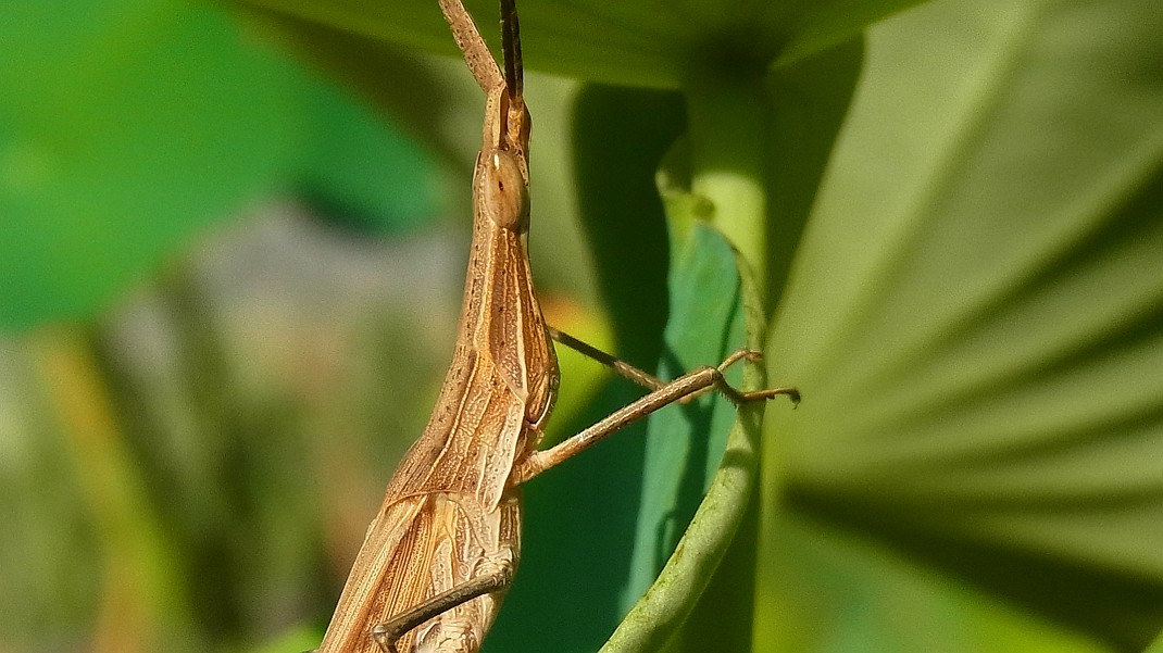 a0152692_18441679.jpg
