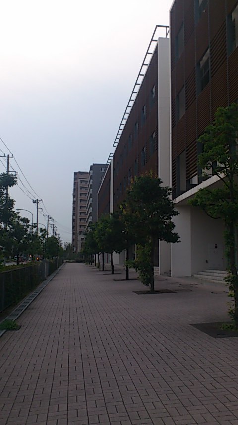 b0250993_1775830.jpg