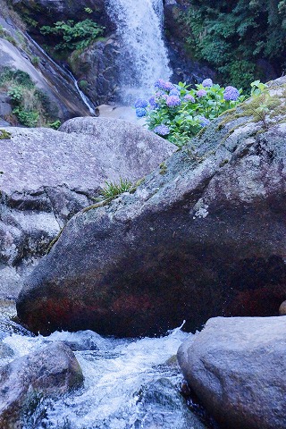 e0176993_6114970.jpg