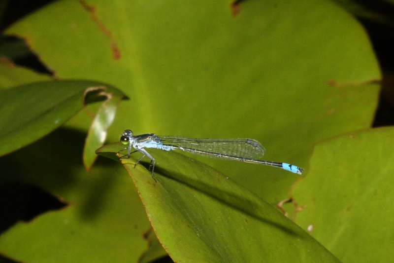 b0226796_17362033.jpg