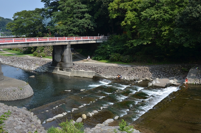 夏の女神_a0169902_951517.jpg