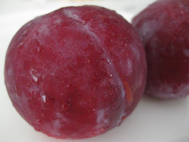 a0224502_22215566.jpg