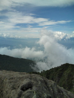 e0028904_17343928.jpg