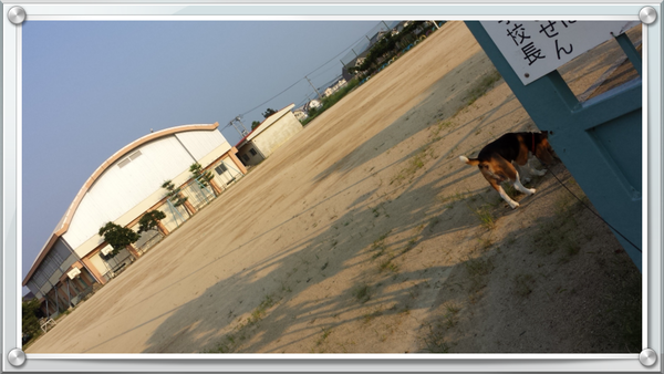 c0205806_1275872.png