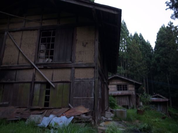 d0147406_4261734.jpg