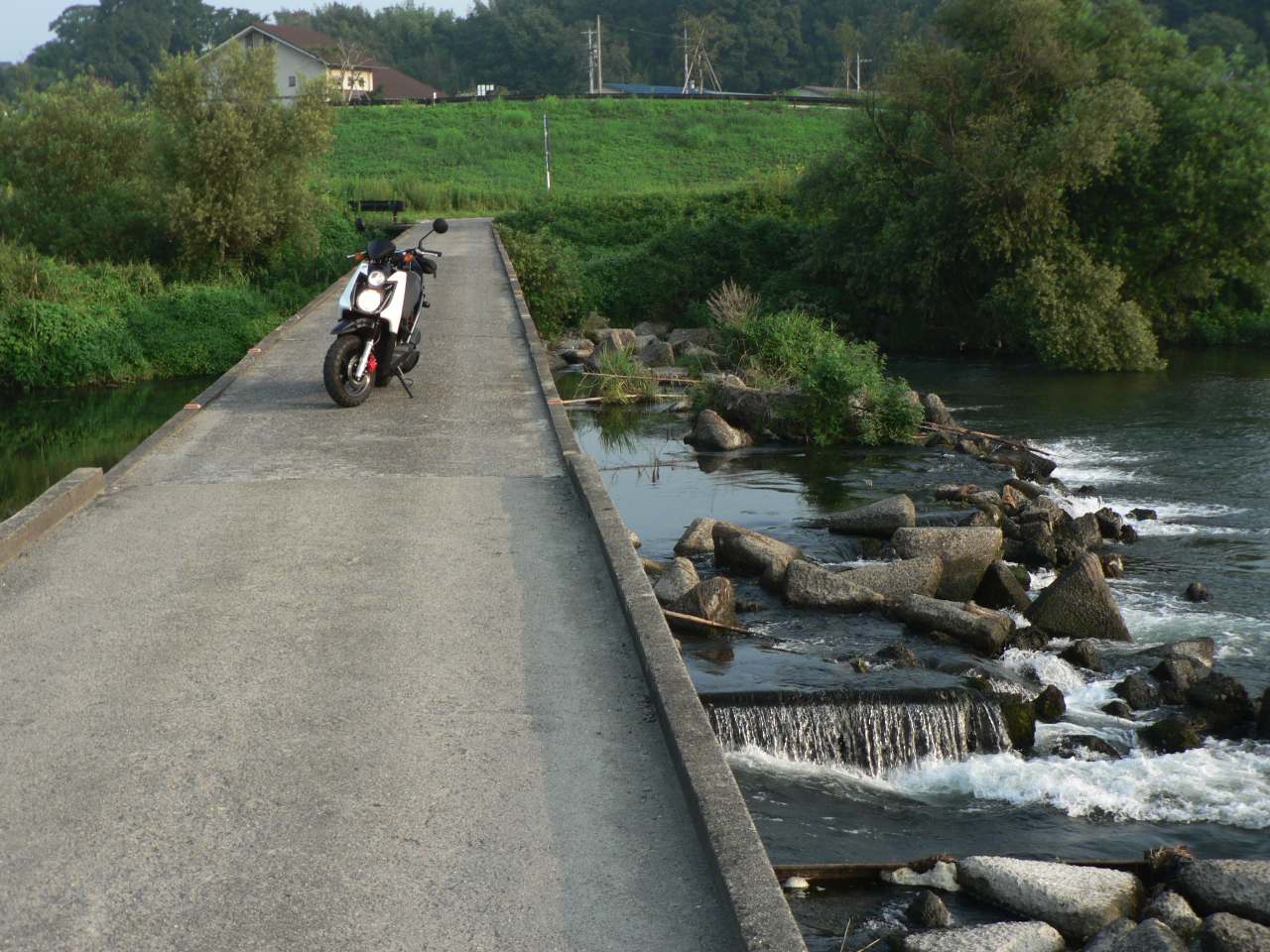 c0001613_103494.jpg