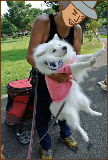 ドキドキッ！！犬まみれ公園。_d0212419_17523020.jpg