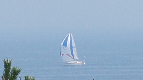 e0202031_2319433.jpg