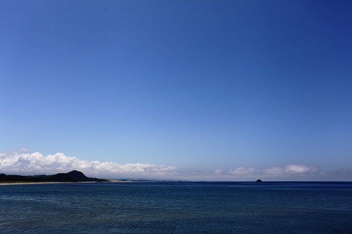 a0294534_9313779.jpg