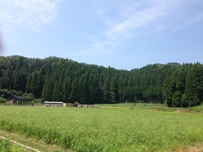 f0177937_2073589.jpg