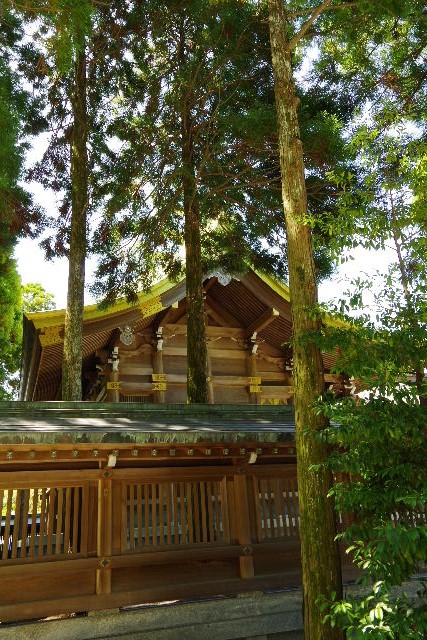 【宮地嶽神社】 その1 楼門、拝殿、本殿、境内_c0011649_74290.jpg
