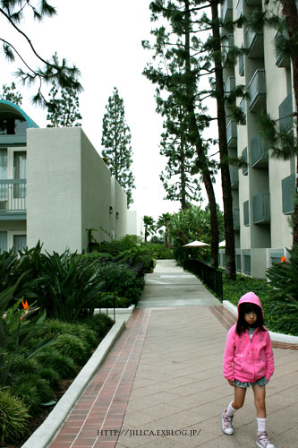 c0308559_83170.jpg
