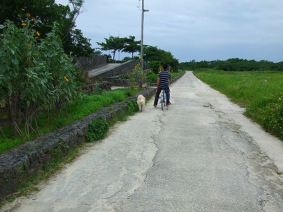 南の島へ再び　　　～石垣島・西表島旅行2013　Part2～_a0104162_20115486.jpg