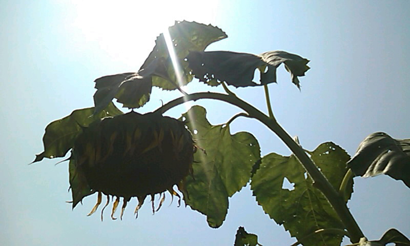 b0242064_73217.jpg