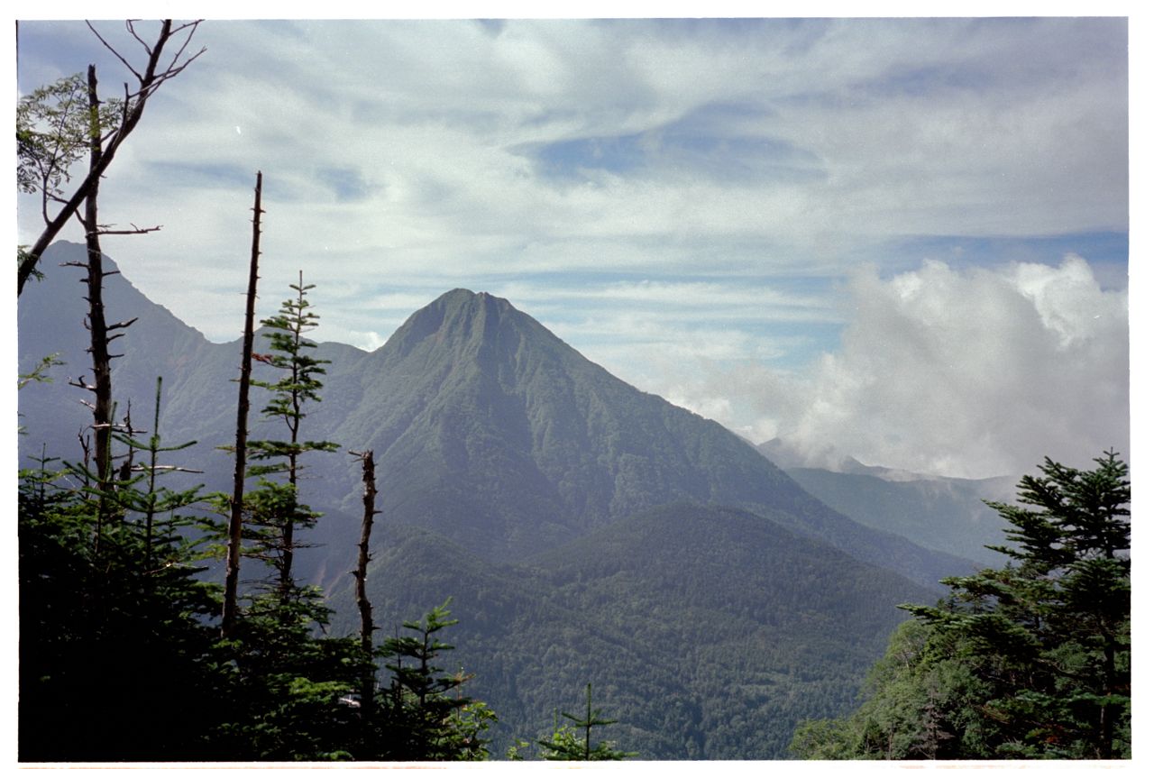 c0218468_7395778.jpg