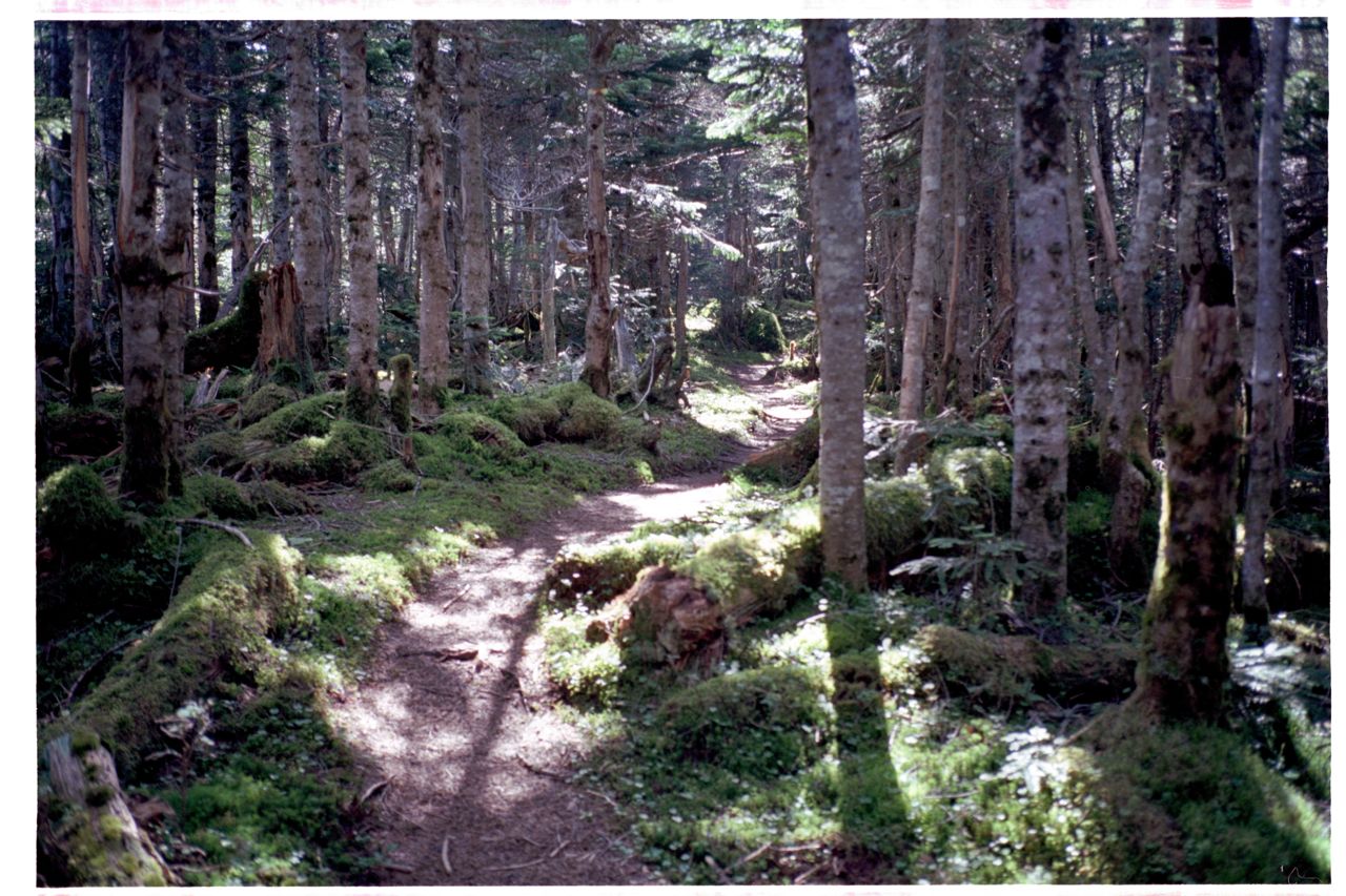c0218468_740112.jpg