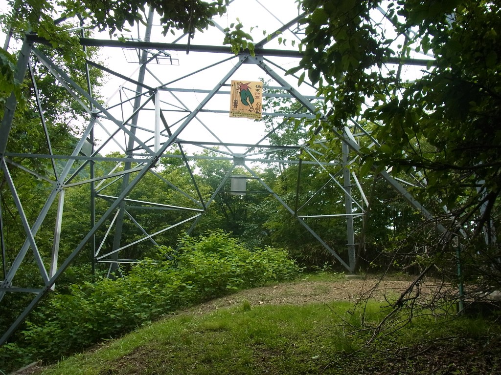 2013/07/14　滝子山　大谷ヶ丸　コンドウ丸　オッ立　大鹿山　後編_d0233770_22214397.jpg