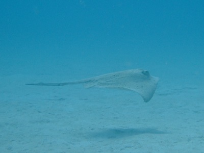 b0033573_16182152.jpg