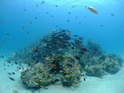 b0033573_16183858.jpg