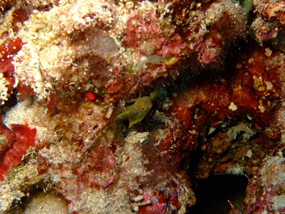 b0033573_16192479.jpg