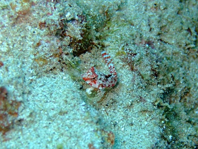 b0033573_16193327.jpg