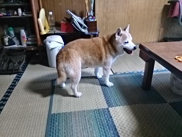 紫竹さんありがとー!_e0046190_18364335.jpg