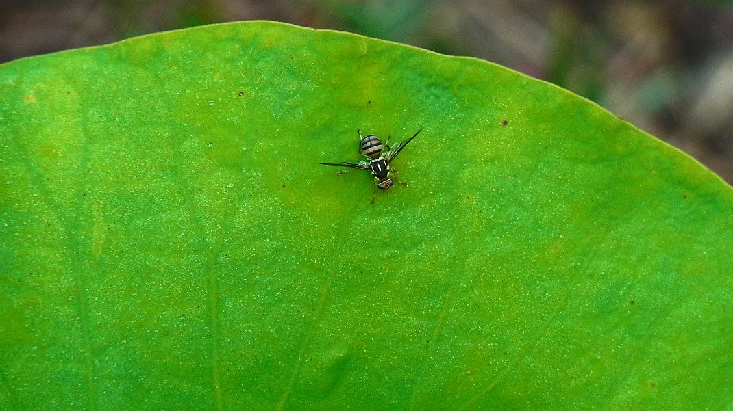 a0152692_18322485.jpg