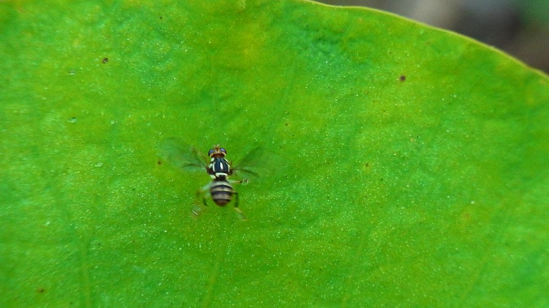a0152692_18323854.jpg
